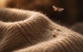 pull-laine-mite-arriere-plan