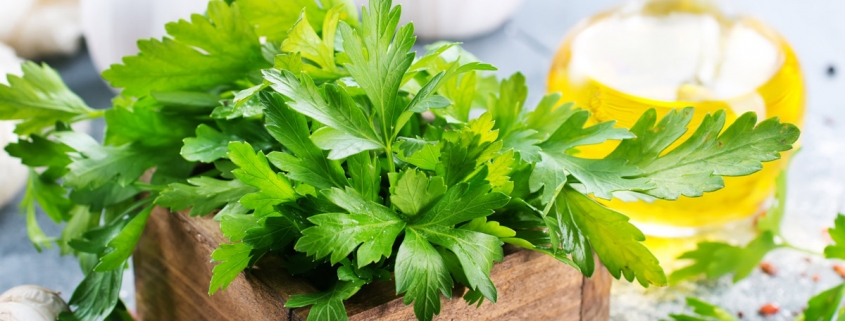 recette-de-la-persillade-mon-or-vert-au-thermomix-maison-lamotte-saint-andiol-provence