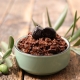 ecette-de-la-tapenade-noire-au-thermomix-maison-lamotte-saint-andiol-provenc